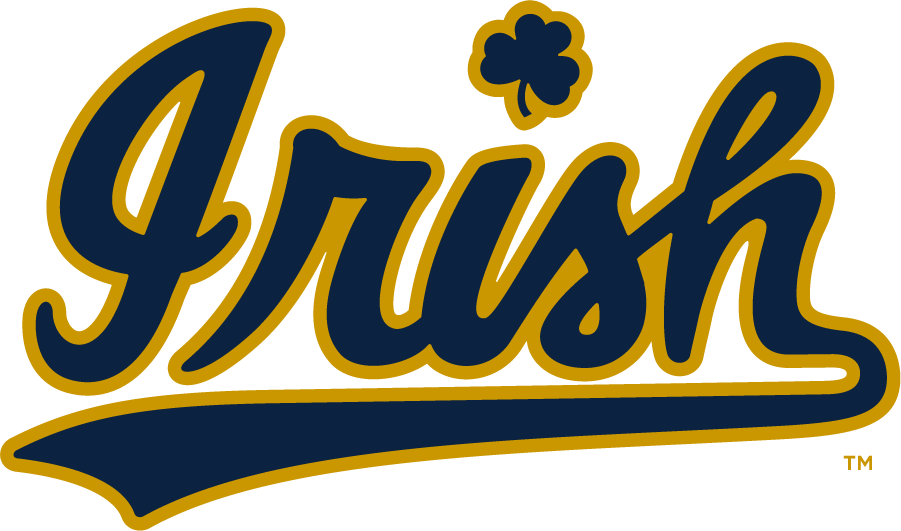 Notre Dame Fighting Irish 2015-Pres Wordmark Logo diy iron on heat transfer